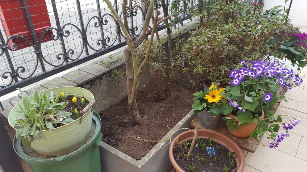 רו Monteceneri 9 B&B מראה חיצוני תמונה